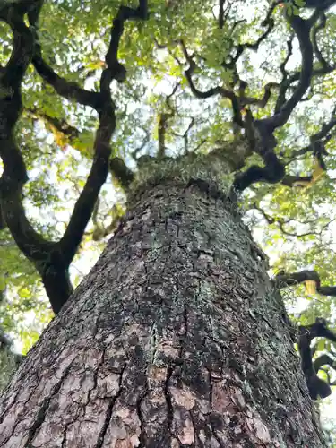 晴明神社(京都府)