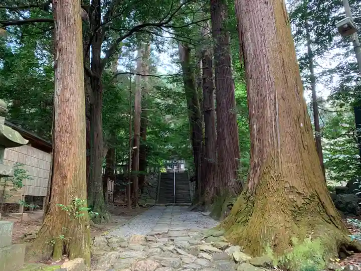 萩日吉神社の自然