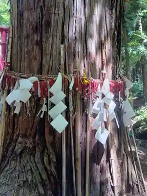 磐椅神社(福島県)