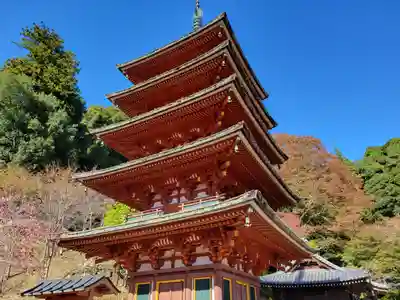 長谷寺(奈良県)