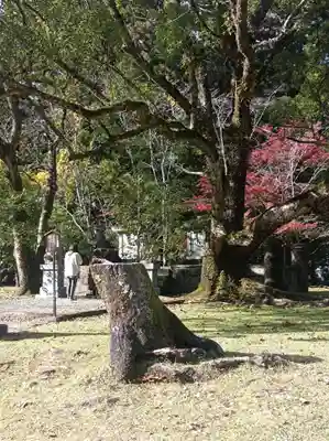 熊野本宮大社(和歌山県)