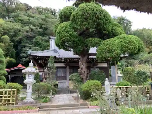 等覚寺の本殿・本堂