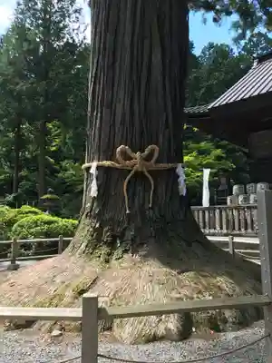 北口本宮冨士浅間神社のその他建物
