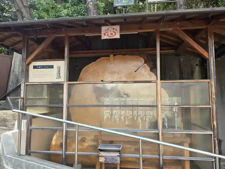 門戸厄神東光寺(兵庫県)