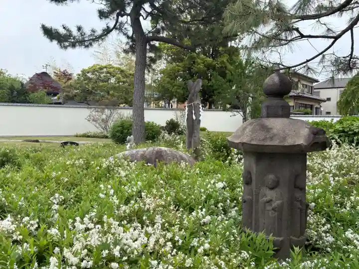 南蔵院の{uncategorized: "未分類", other: "その他", undefined: "問題あり", building: "その他建物", grave: "お墓", sacred_gate: "鳥居", guardian: "狛犬", statue: "像", buddha: "仏像", history: "歴史", nature: "自然", garden: "庭園", animal: "動物", pagoda: "塔", temizu: "手水舎", mountain_gate: "山門・神門", sanctuary: "本殿・本堂", subordinate: "末社・摂社", art: "芸術", scenery: "景色", jizo: "地蔵", ema: "絵馬", goshuin: "御朱印", omikuji: "おみくじ", items: "授与品その他", amulet: "お守り", goshuincho: "御朱印帳", eats: "食事", festival: "お祭り", votive_dance: "神楽", shichigosan: "七五三参", wedding: "結婚式", experience: "体験その他", initially: "初詣", around: "周辺", anti_infection: "感染症対策"}