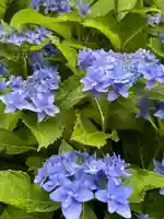 松嶺院(神奈川県)