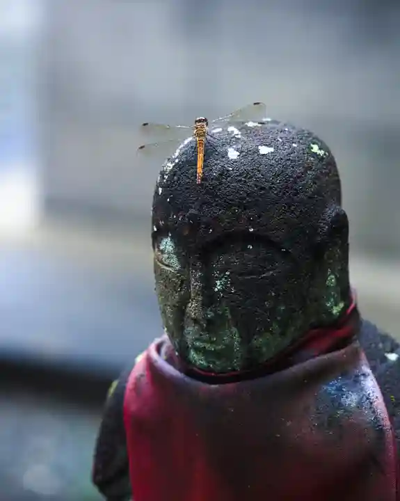 鳳仙寺(群馬県)