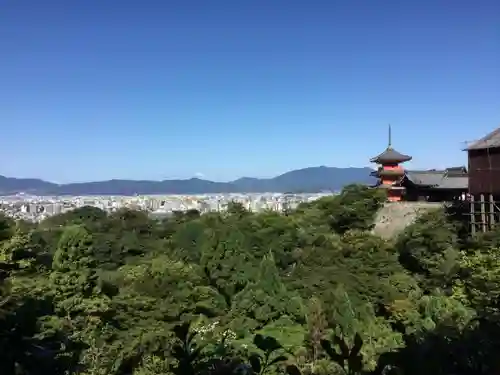 清水寺の自然