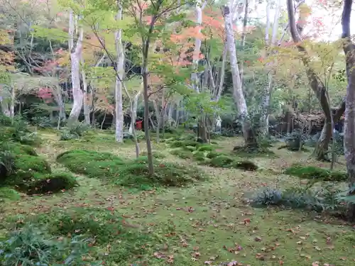 祇王寺の庭園