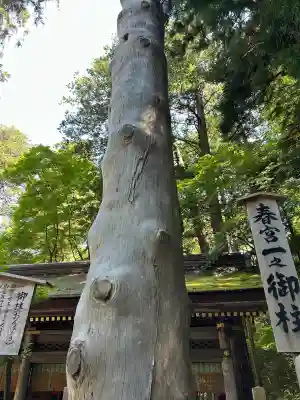 諏訪大社下社春宮(長野県)