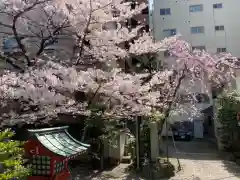 秋葉神社の自然