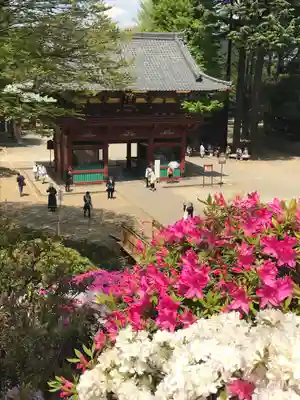 根津神社(東京都)