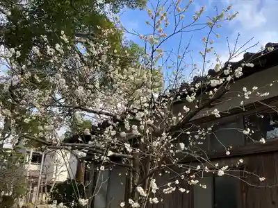 八幡神社の自然