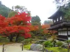 慈照寺（慈照禅寺・銀閣寺）の庭園