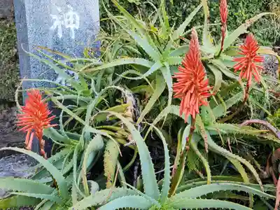 白濱神社(鹿児島県)
