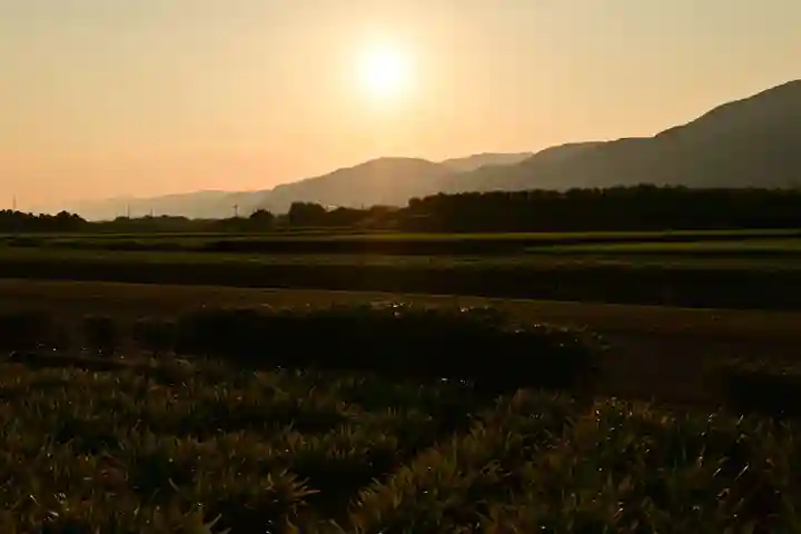 伊射奈美神社(徳島県)