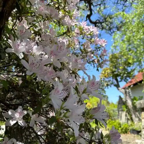 豊景神社(福島県)