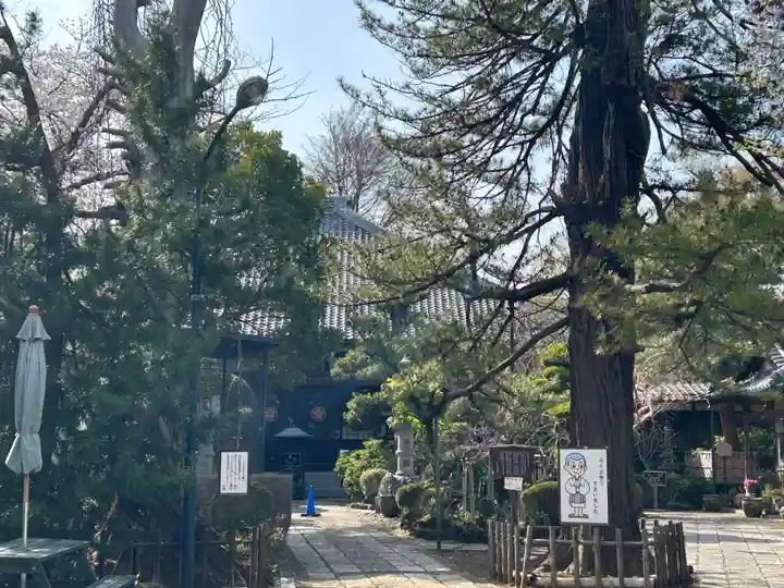円福寺(東京都)