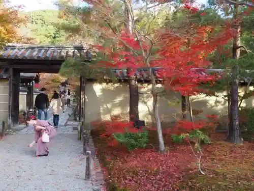 高台寺（高台寿聖禅寺・高臺寺）の庭園