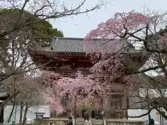 醍醐寺の山門