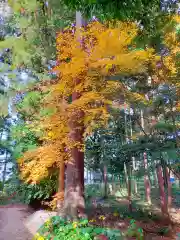 鴨都波神社(奈良県)