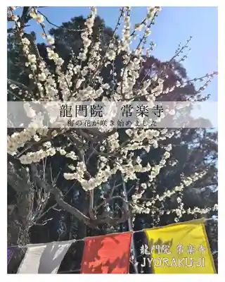 【公式】龍門院常楽寺（秩父札所十一番）(埼玉県)