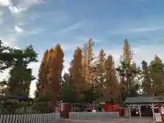 阿部野神社(大阪府)