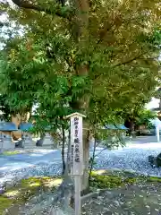 春日神社の自然