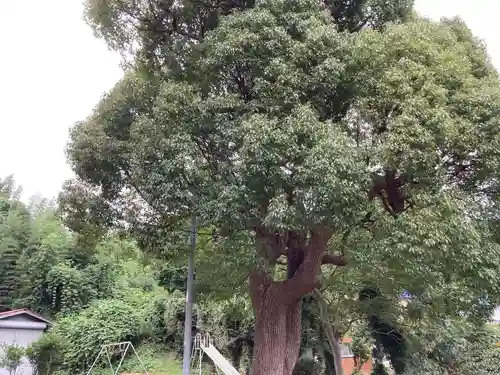 御嶽神社（生沢）(神奈川県)