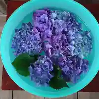 三澤寺の手水舎