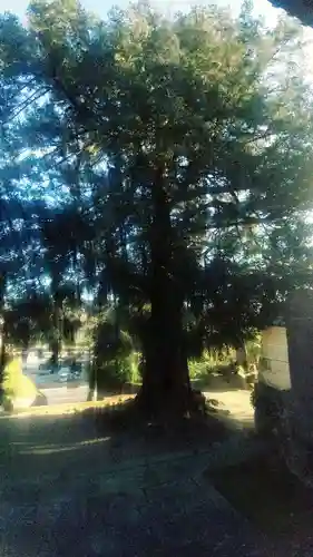 天猷寺(岐阜県)