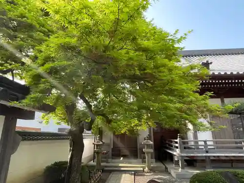 梅香寺(三重県)