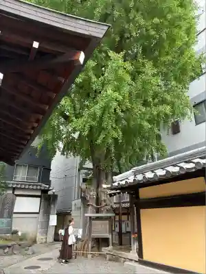 本能寺(京都府)