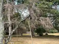 熊野神社(茨城県)