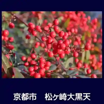 松ヶ崎大黒天 妙圓寺（妙円寺）(京都府)