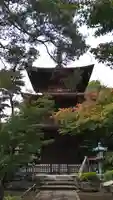 豪徳寺(東京都)