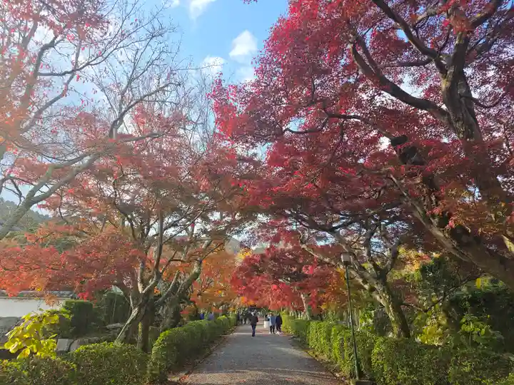 禪智坊(滋賀県)