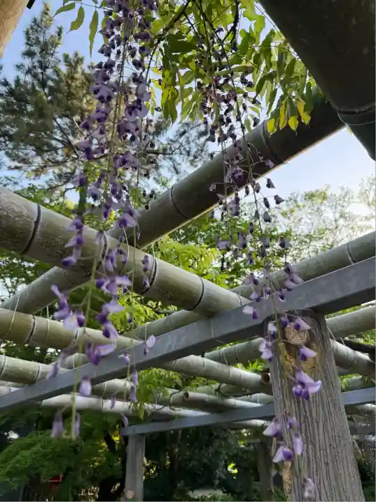 越ヶ谷久伊豆神社(埼玉県)