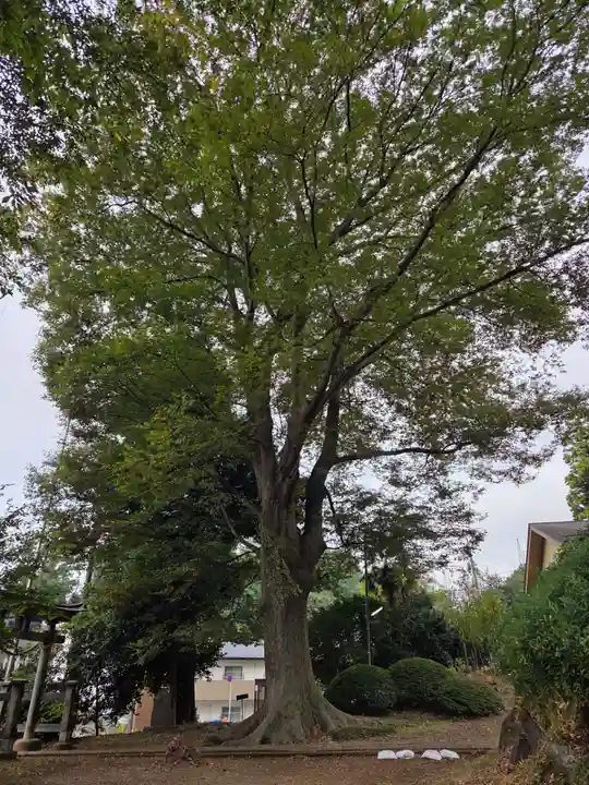 飯守神社(東京都)