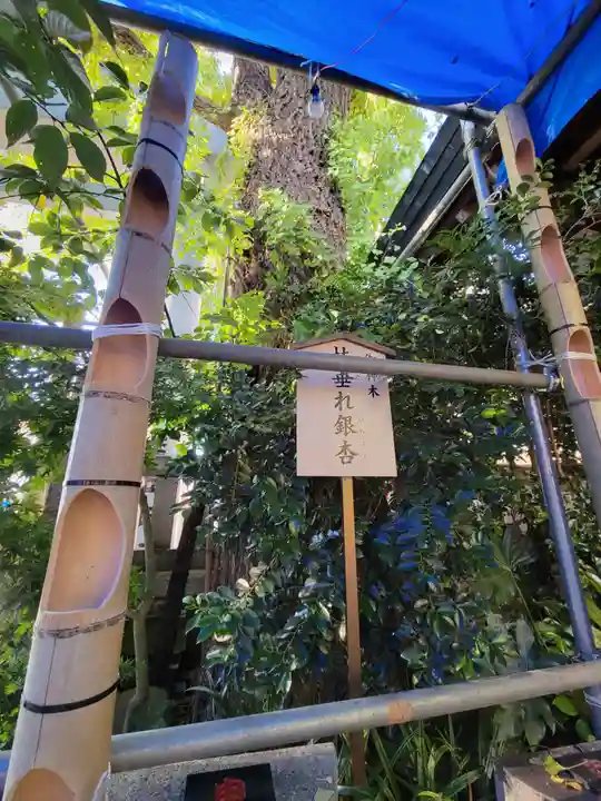 波除神社(波除稲荷神社)のその他建物