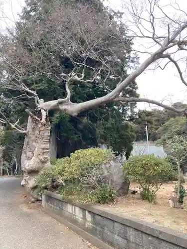 東大社(千葉県)