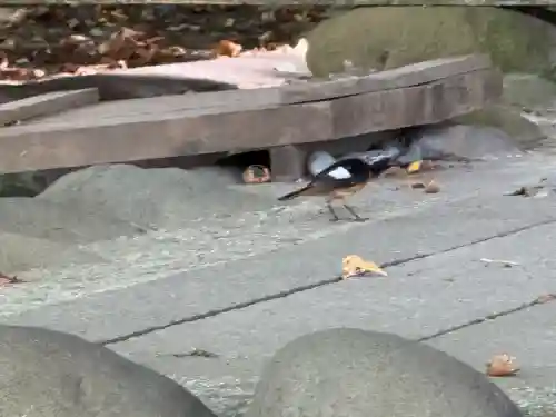 諏訪大社上社前宮(長野県)