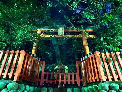 伏見稲荷大社(京都府)