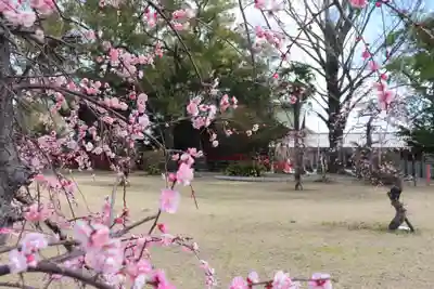 美奈宜神社(福岡県)