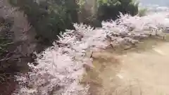 宮崎神社の自然