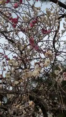 白雲神社(京都府)