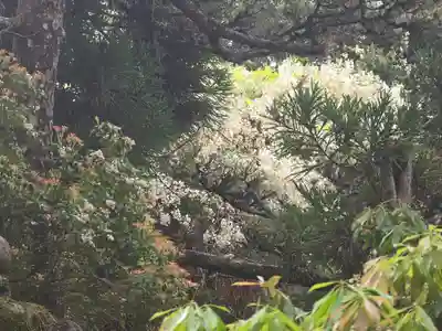 船戸神社(奈良県)