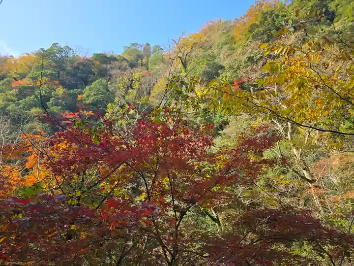 元伊勢天岩戸神社(京都府)