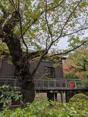 乃木神社(東京都)