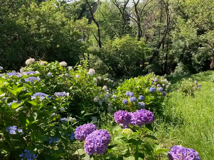 天台宗 長窪山 正覚寺(神奈川県)